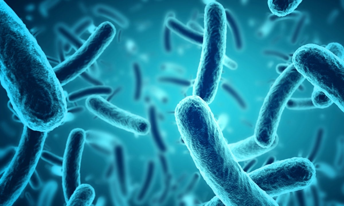 Encuentran una bacteria oculta durante miles de años en Rumanía: puede ponernos a todos en riesgo