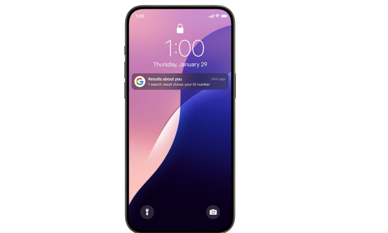 Aspecto de la notificación que informa de la presencia de uno de nuestros datos personales - Google