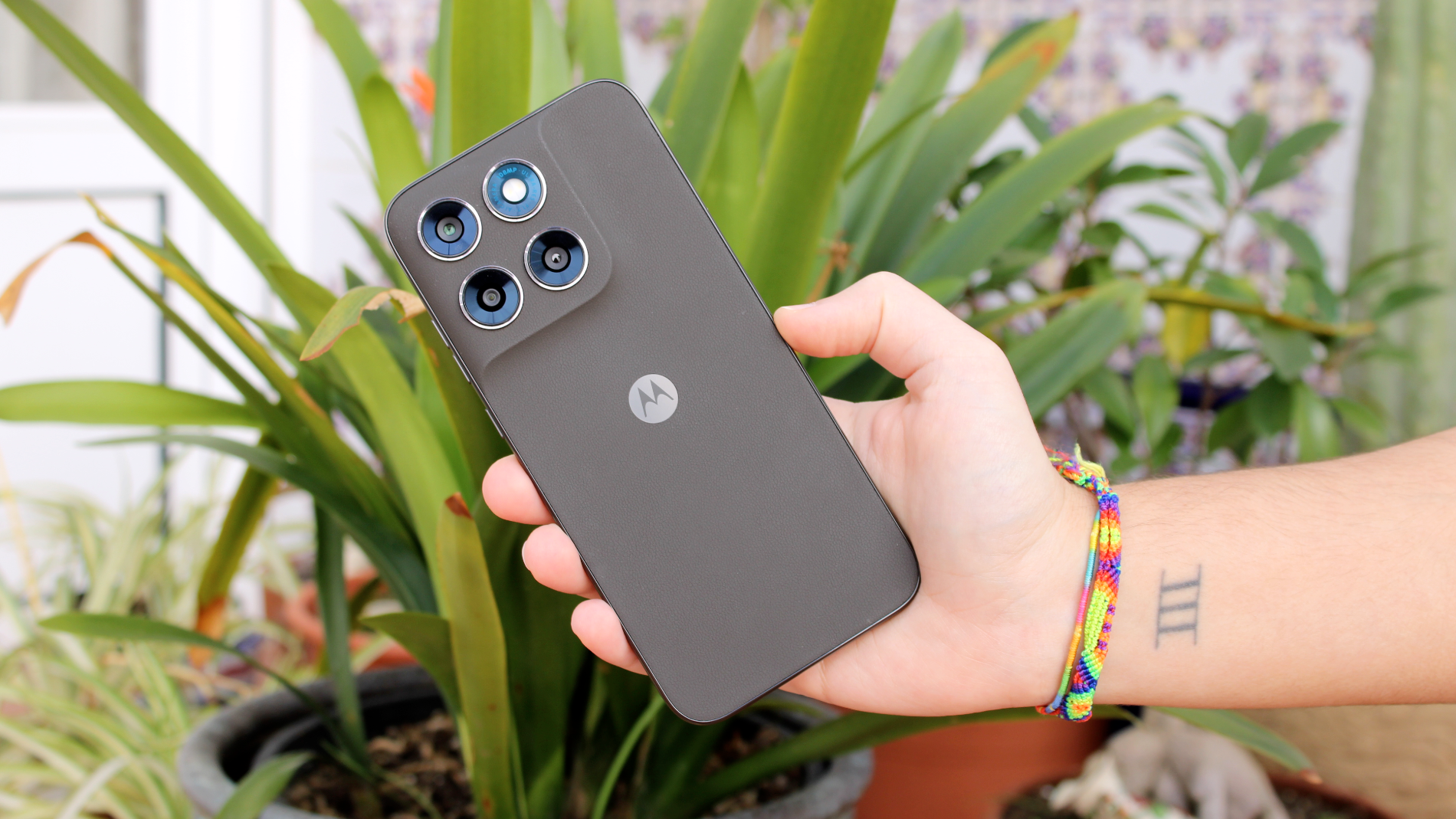 Diseño del motorola moto g77 en color PANTONE Black Olive | Fotografía de Lucía Alcántara Gil