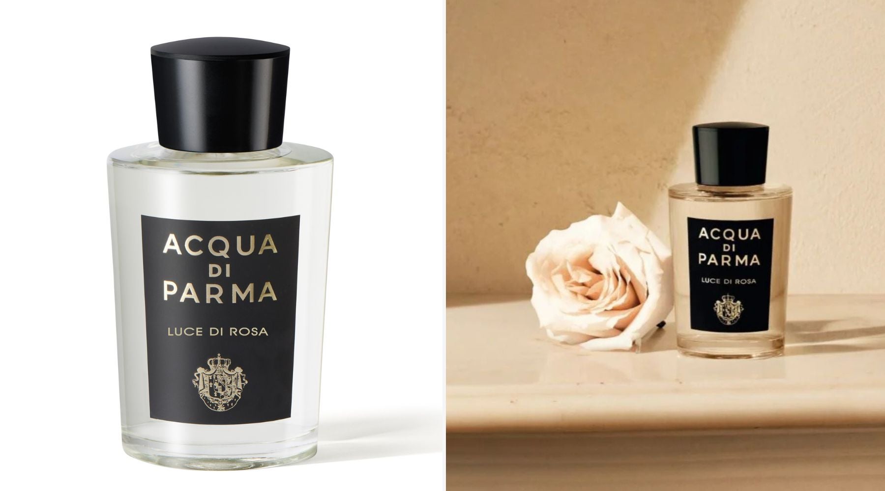 Luce di Rosa Eau de Parfum (270 € / 100 ml) | Acqua di Parma