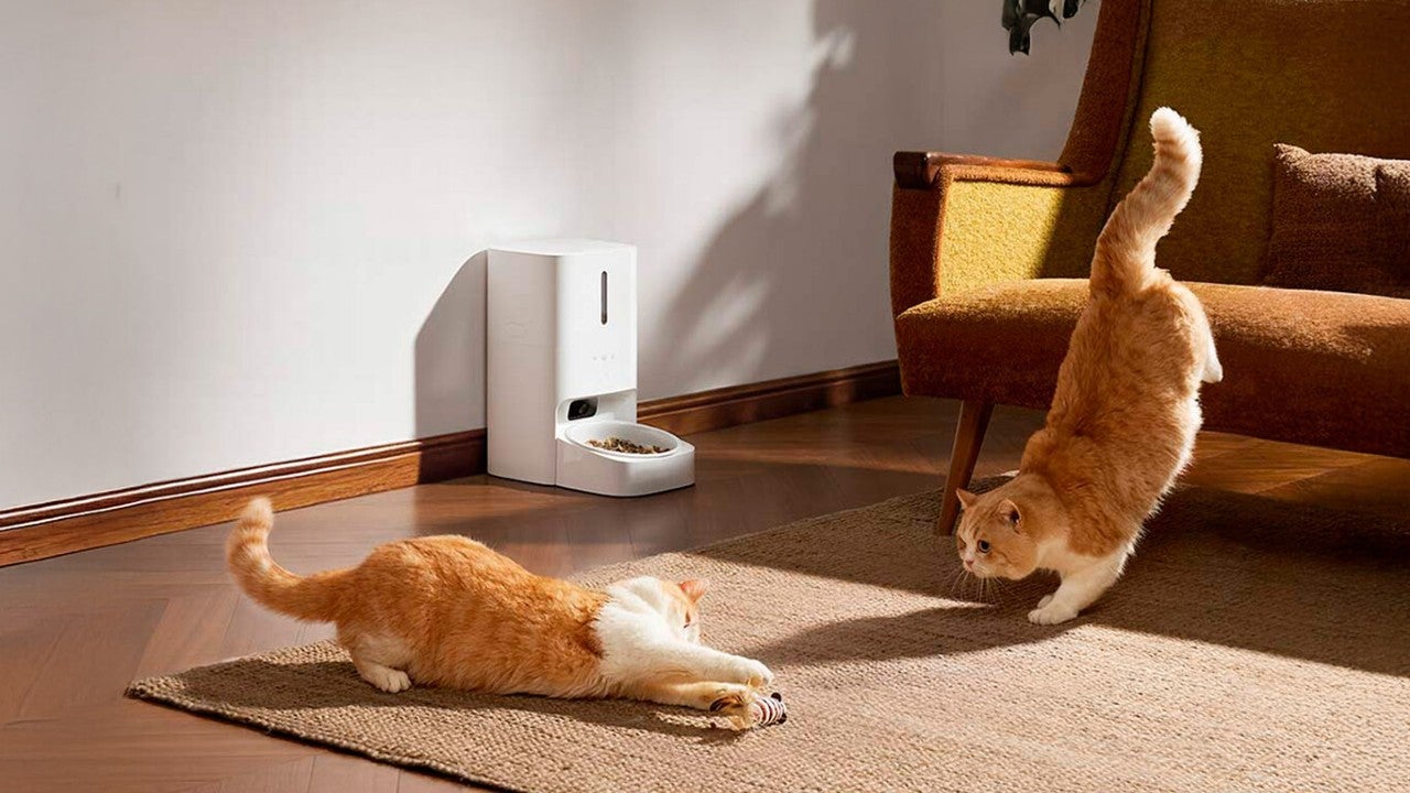 Imagen promocional del Mijia Smart Pet Feeder 2 Visual Edition