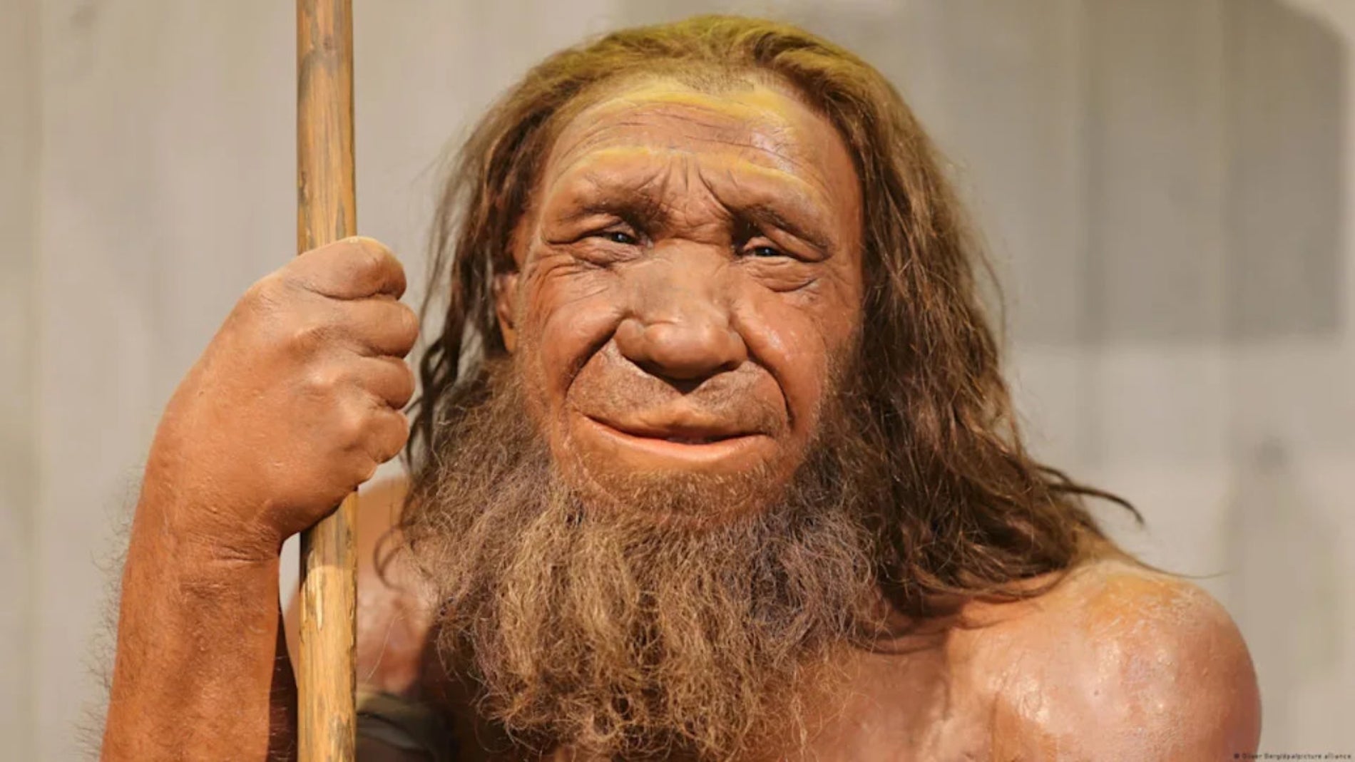 Llevamos 170 años subestimando a los neandertales: eran tan inteligentes como nosotros