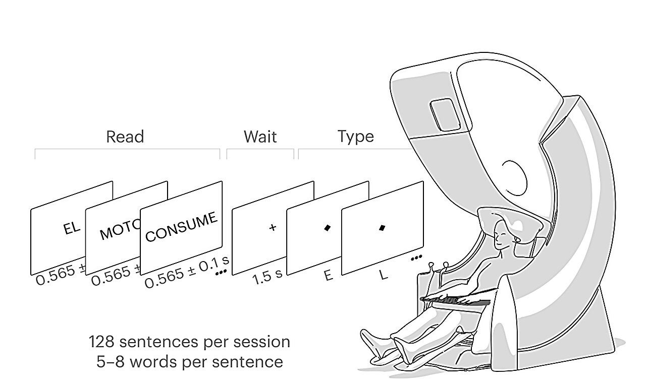 Las palabras aparecían una a una en la pantalla (Foto: Nature Neuroscience (2026))