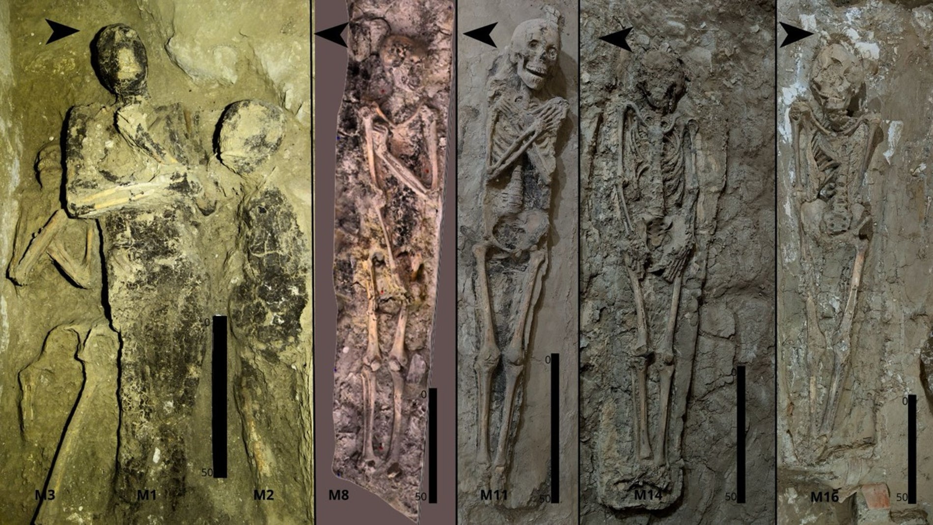 Los distintos enterramientos en la Tumba Tebana 209