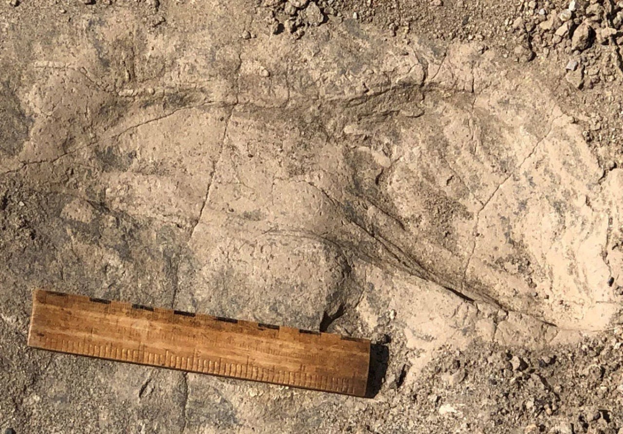 Muestra de una de las huellas que tiene aproximadamente 1,4 millones de años