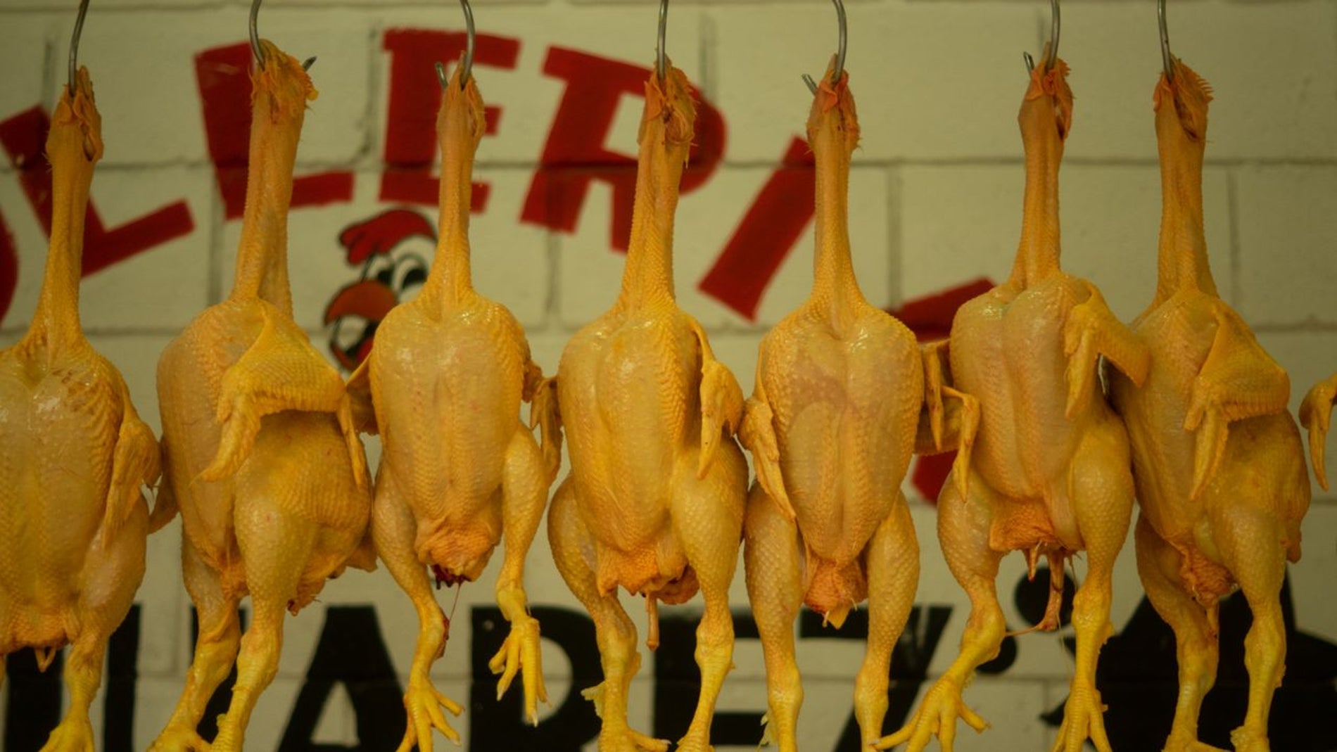 Pollos dispuestos en una pollería y listos para su compra