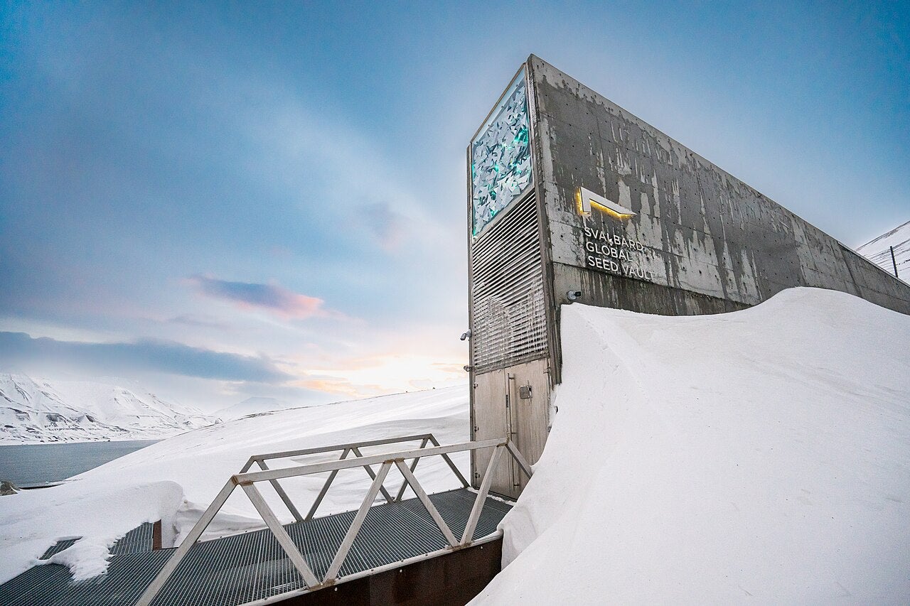 Bóveda Global de Semillas de Svalbard - Michael Major para Crop Trust