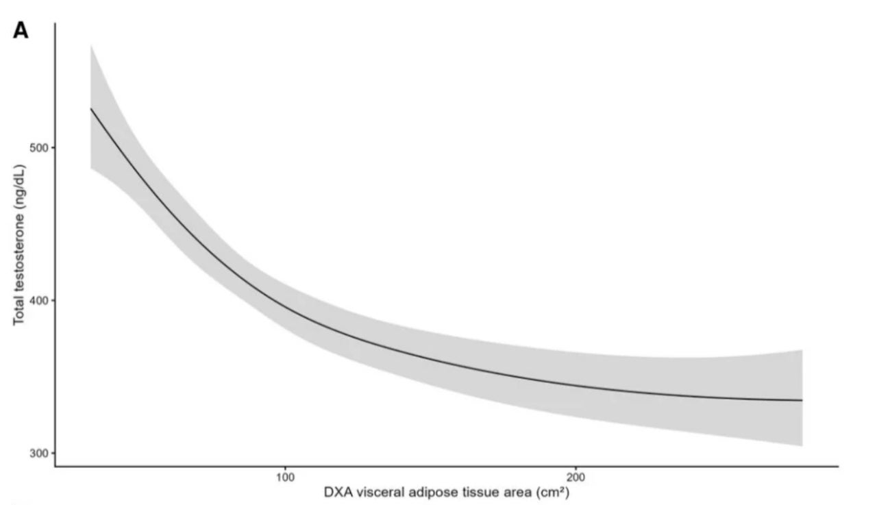 Relación entre la grasa abdominal profunda y los niveles totales de testosterona en varones estadounidenses de entre 20 y 59 años, controlando las variables de edad e IMC