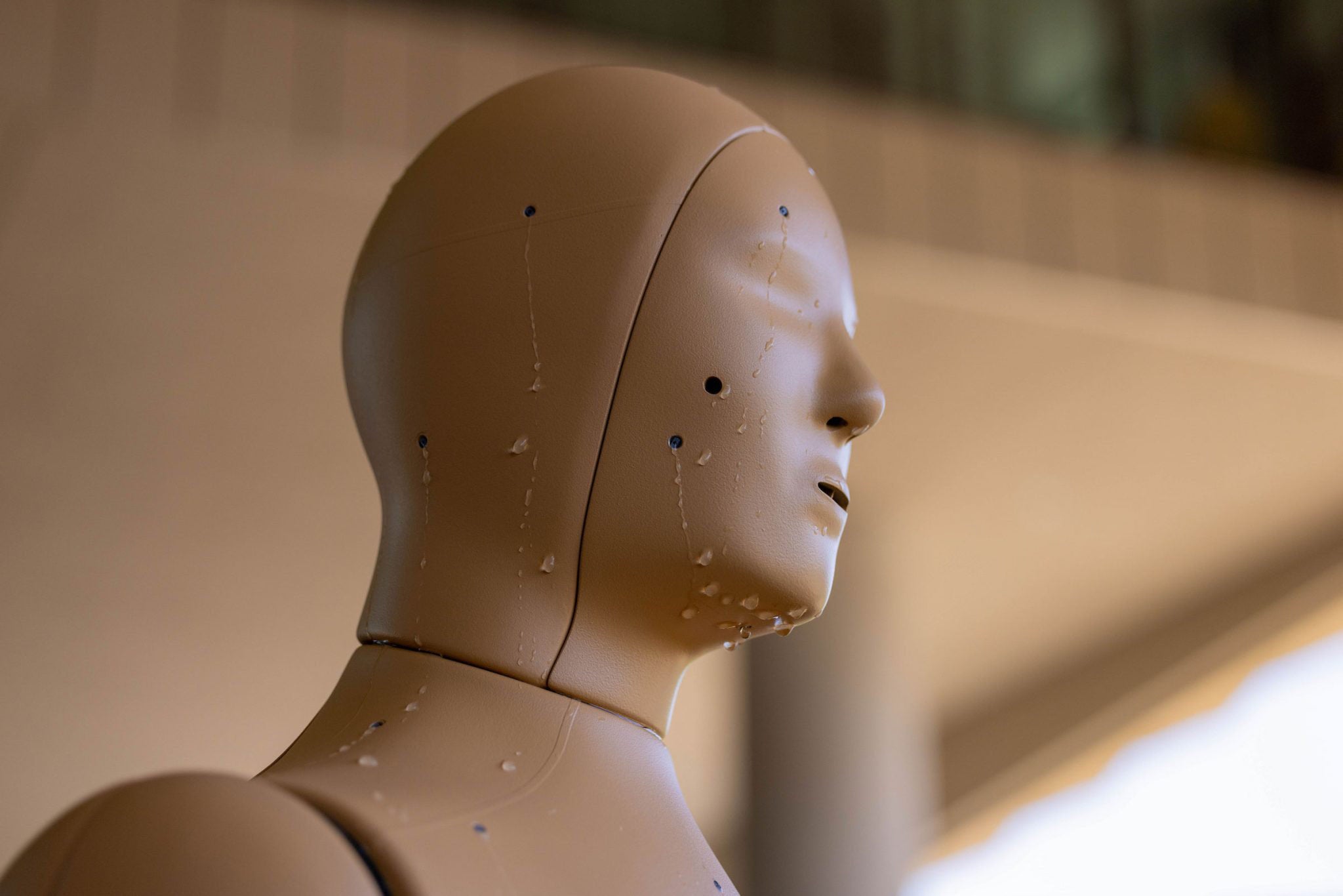 ANDI, el maniquí usado para las pruebas