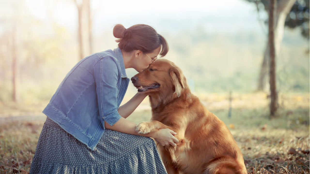 No hay una fecha exacta, así que se dice que los perros fueron domesticados hace entre 15.000 y 40.000 años