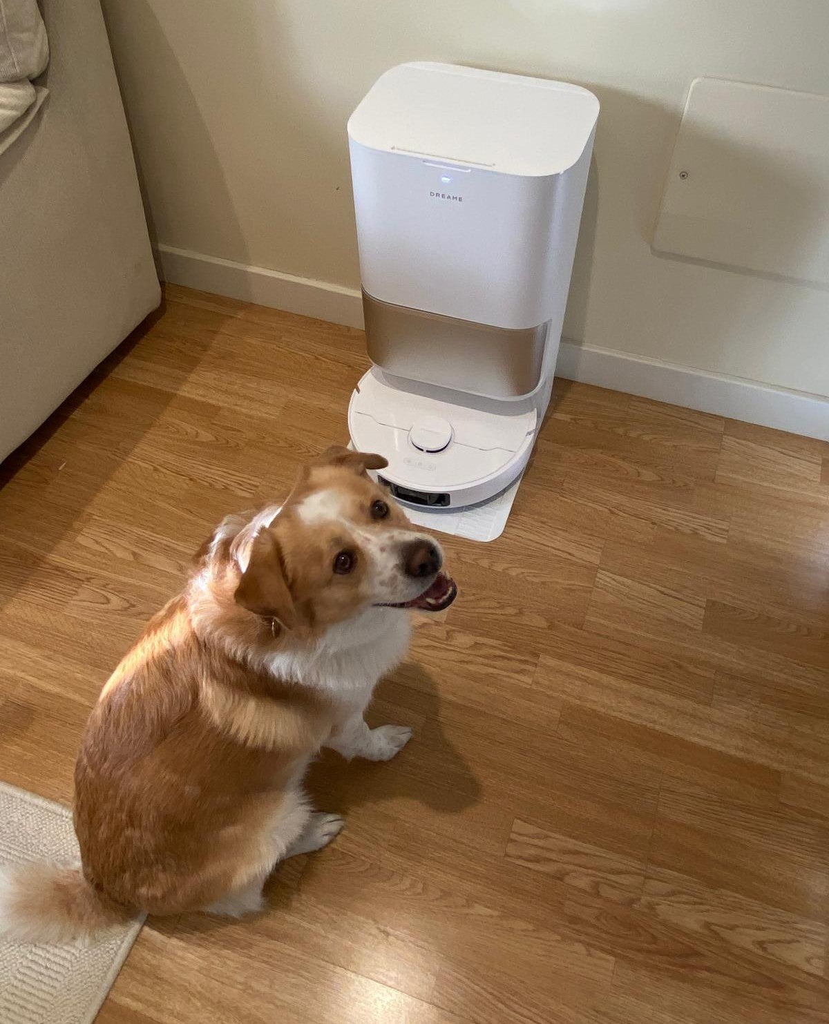 Con un perro en casa, el Dreame L10s Ultra Gen 3 Kit nos ahorra mucho trabajo con la limpieza diaria | Fotografía Patricia Rodríguez