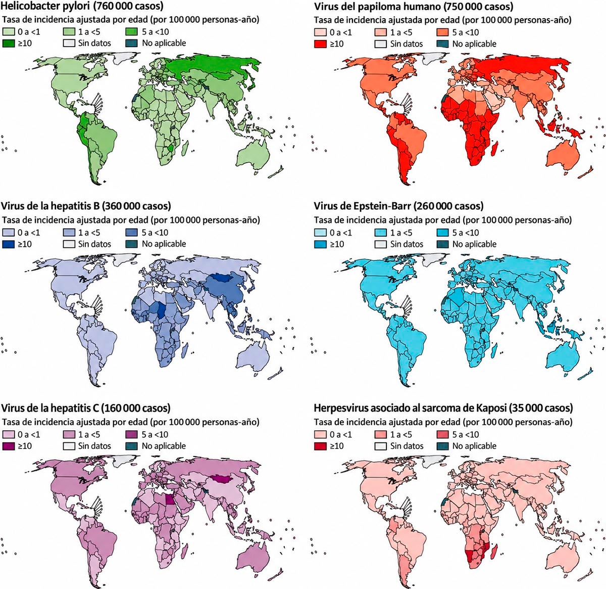 Incidencia mundial de los principales tipos de cáncer asociados a infecciones, expresada por cada 100.000 habitantes | Fotografía: The Lancet Oncology