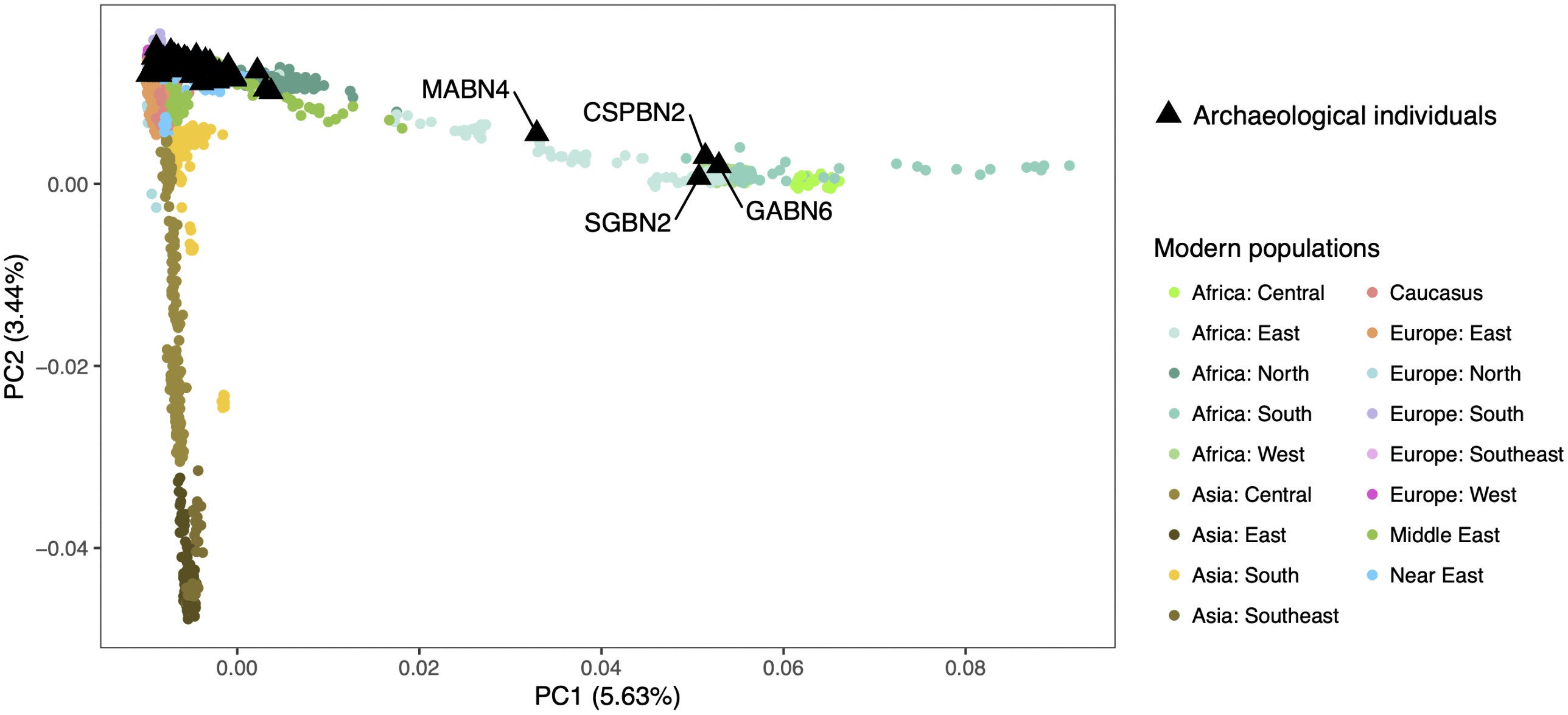 Estudio comparativo que ubica el ADN de los antiguos habitantes de Sicilia