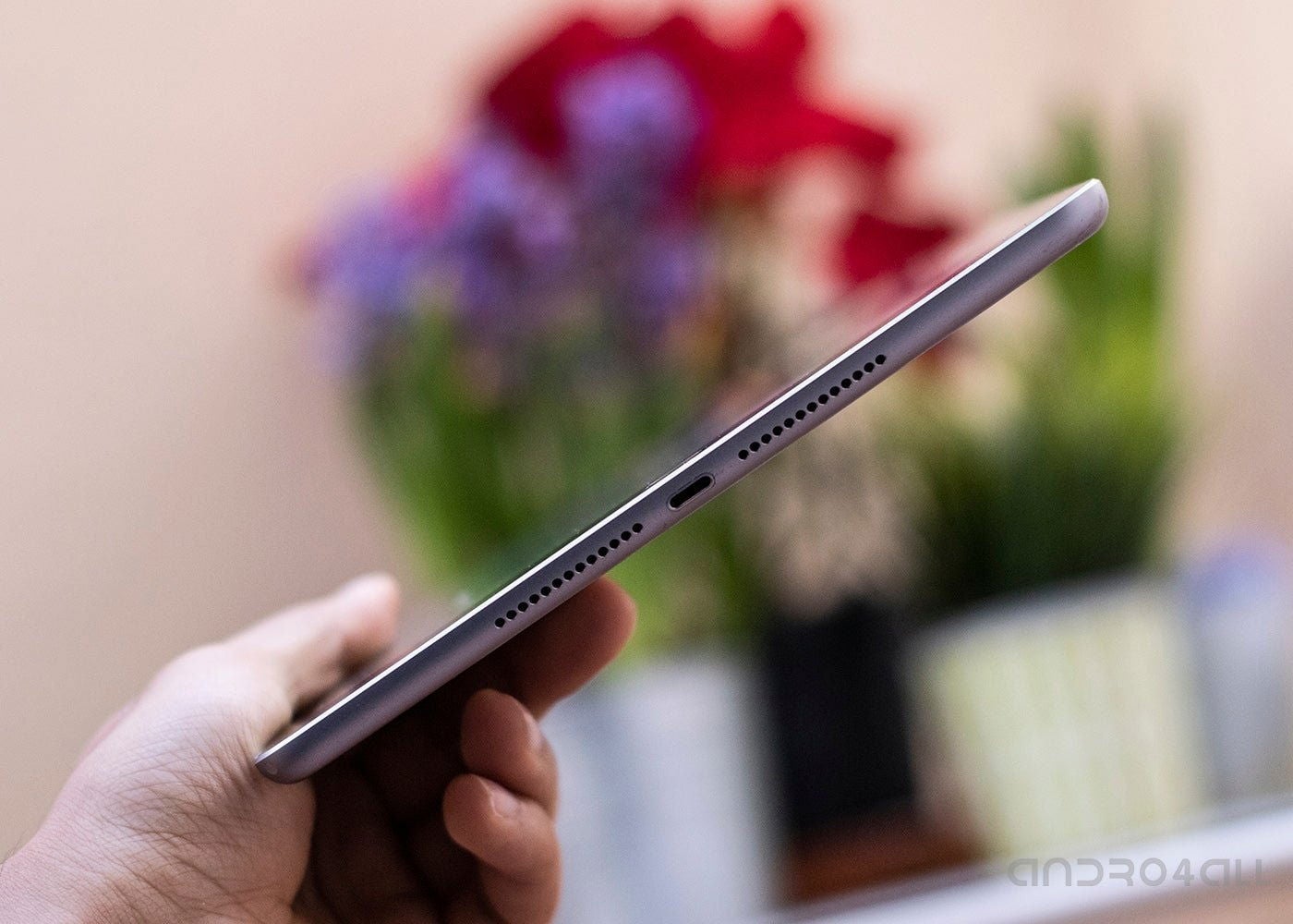 primeras predicciones de los iPhone, iPad y Apple Watch de 2019