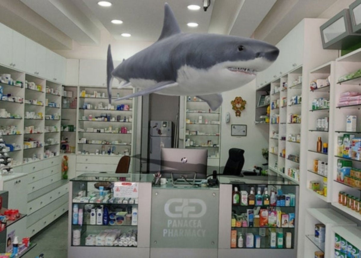 Buscador de Google tiburón