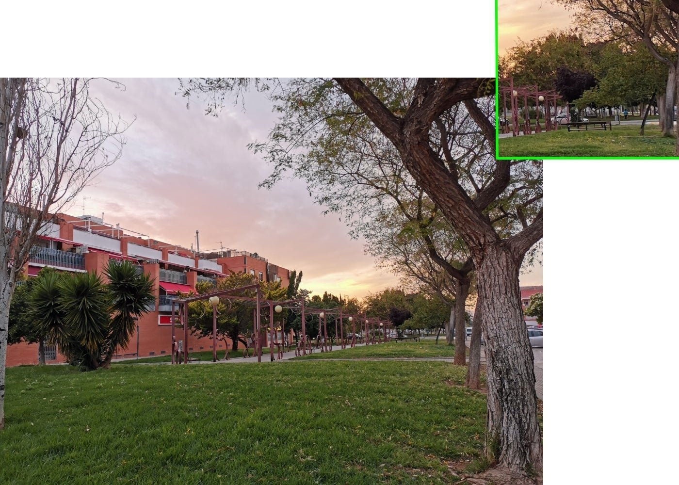 P30 detalle árboles