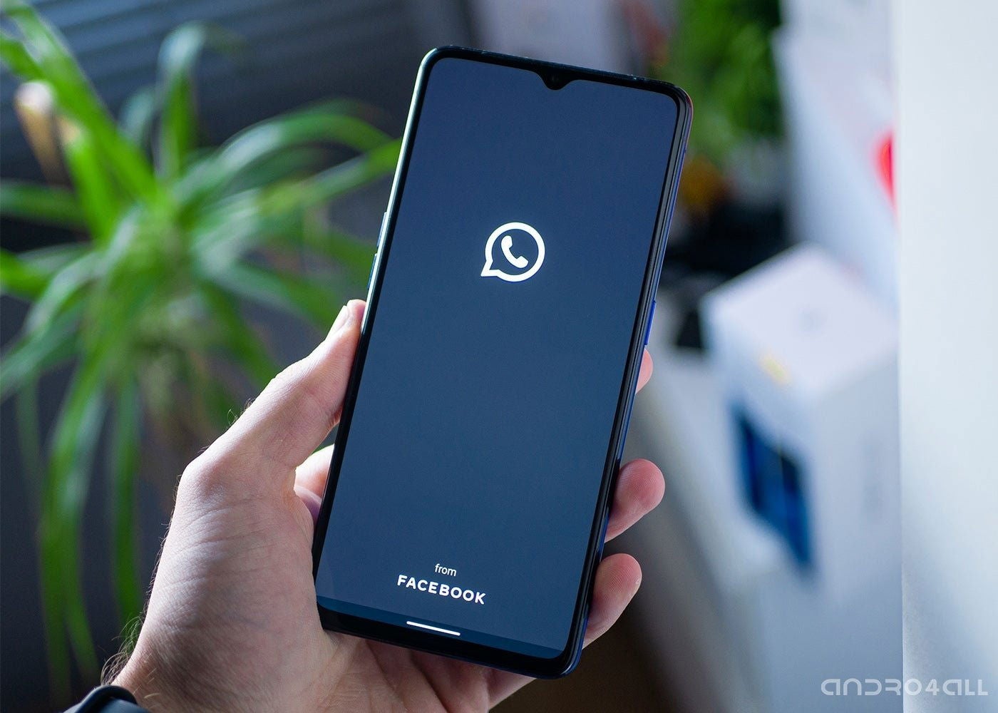 Trucos básicos y esenciales de WhatsApp