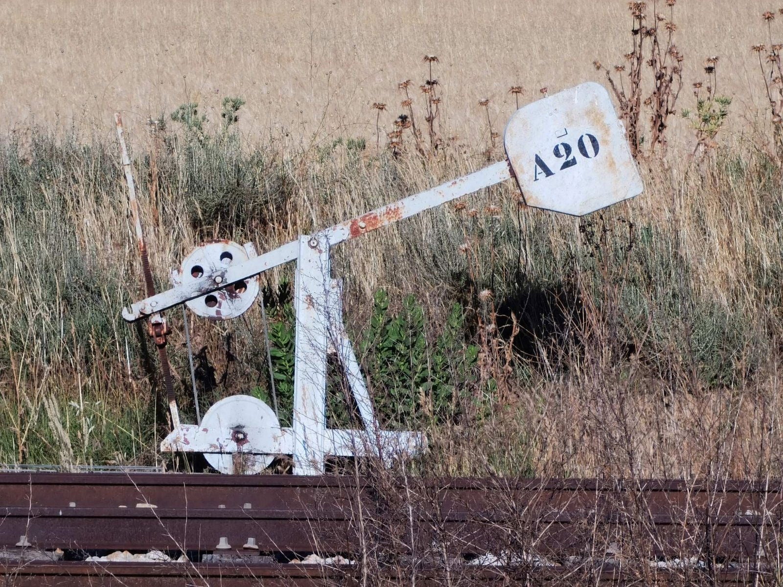 Una foto lejana con el Huawei P40 Pro+ y su sensor 10X