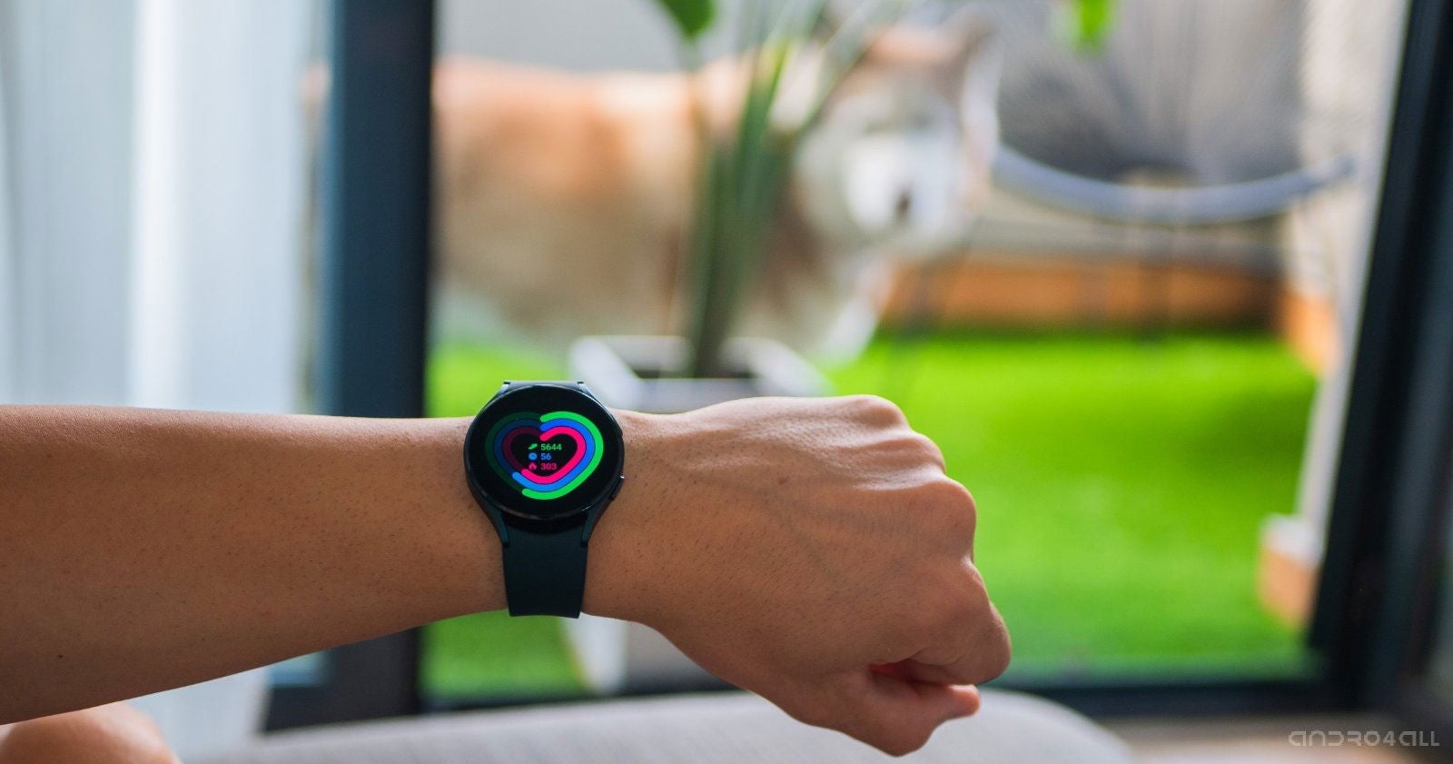 La gestión de datos de actividad y salud del Samsung Galaxy Watch 4 se lleva a cabo mediante Samsung Health / Imagen: Christian Collado