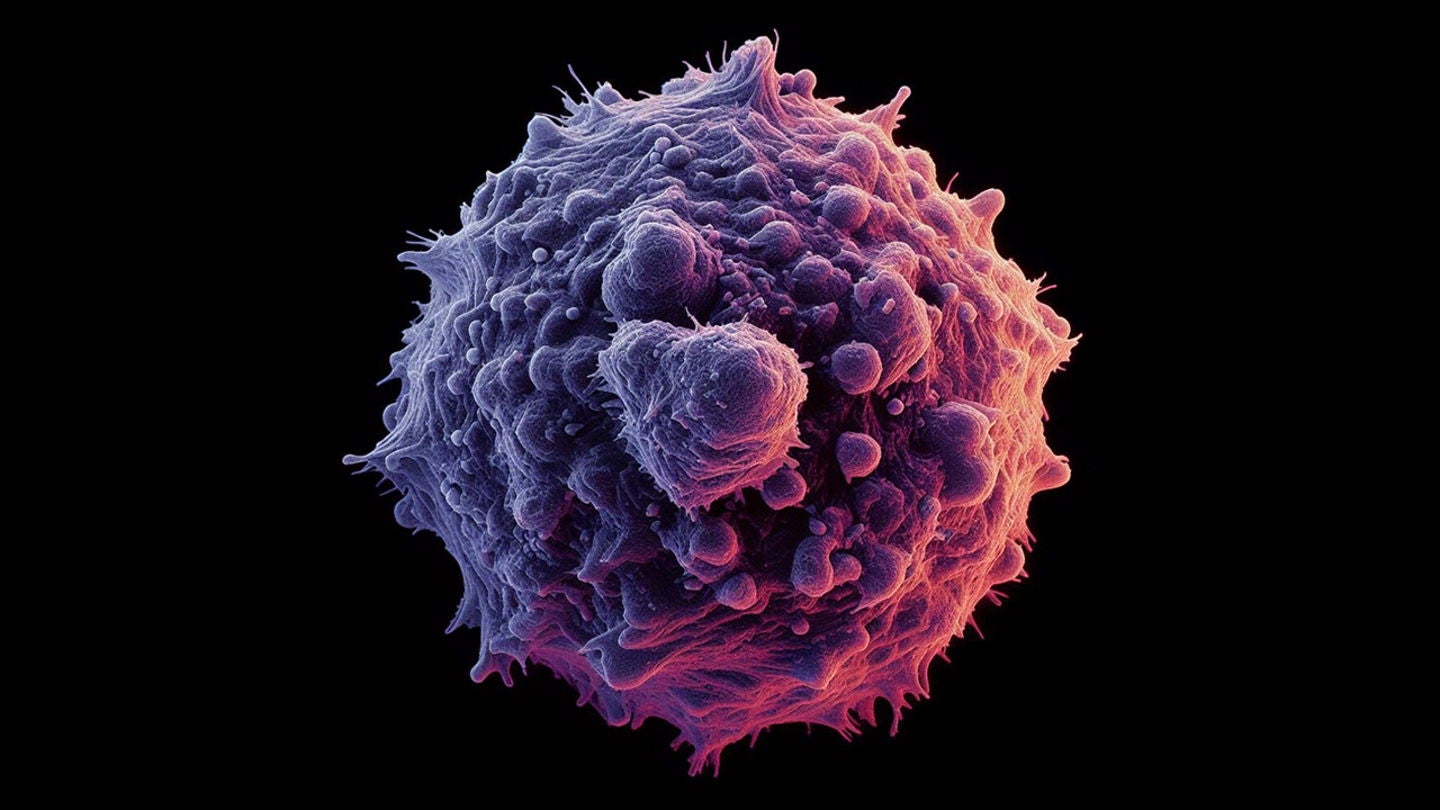 Una copa diaria puede afectar a las posibilidades de padecer cáncer