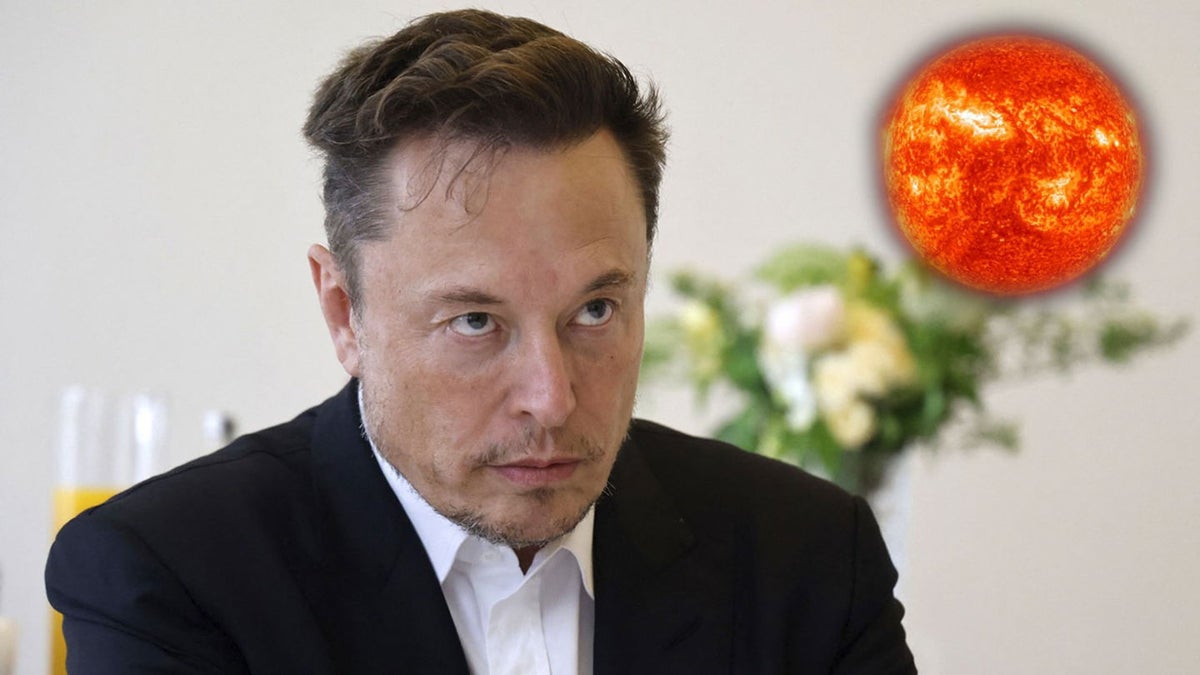 Elon Musk pierde los papeles tras las críticas a SpaceX del director de ...