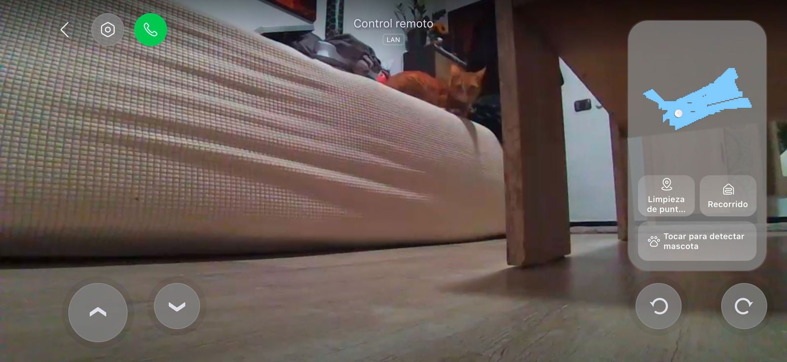 Mi gata vista a través de la cámara del Roborock Qrevo Curv 2 Pro / Fotografía por Paola Mejia