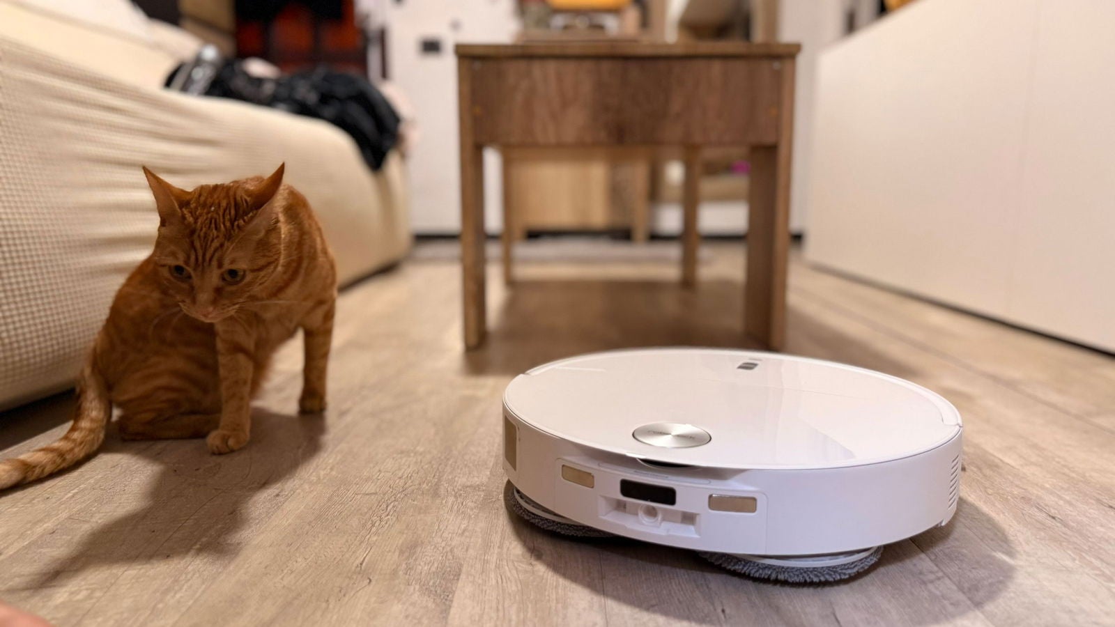 El Roborock Qrevo Curv 2 Pro detecta por dónde está caminando mi gatita y la esquiva sin problema / Fotografía por Paola Mejia