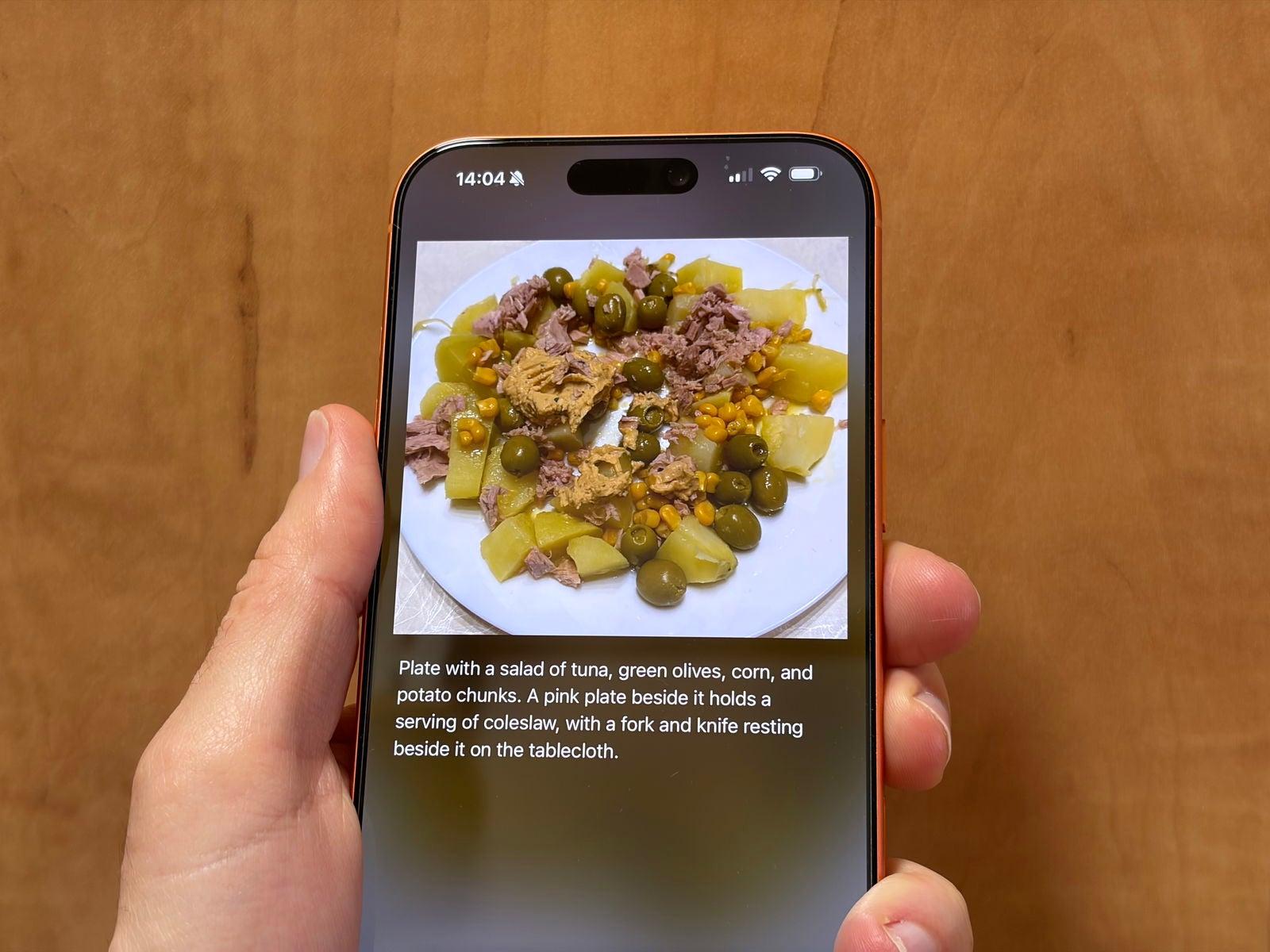 Ejemplo de como funciona Shiuli