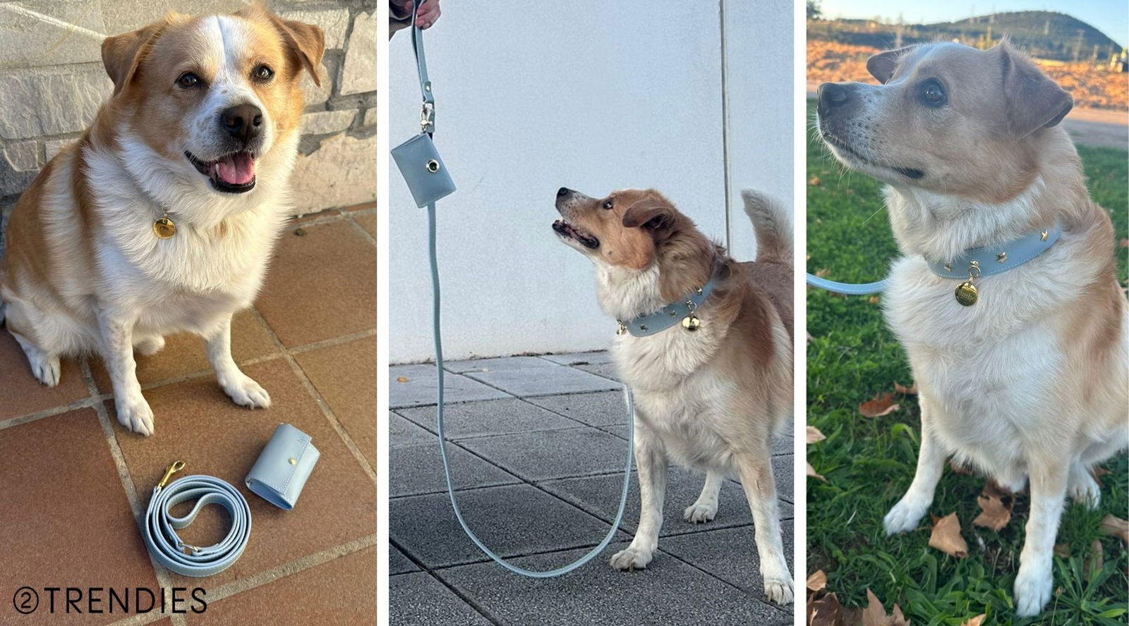 Kit Nara de Branni Pets, con collar, correa y portabolsas en azul cielo: diseño cuidado también para los paseos compartidos | Fotografía: Patricia Rodríguez