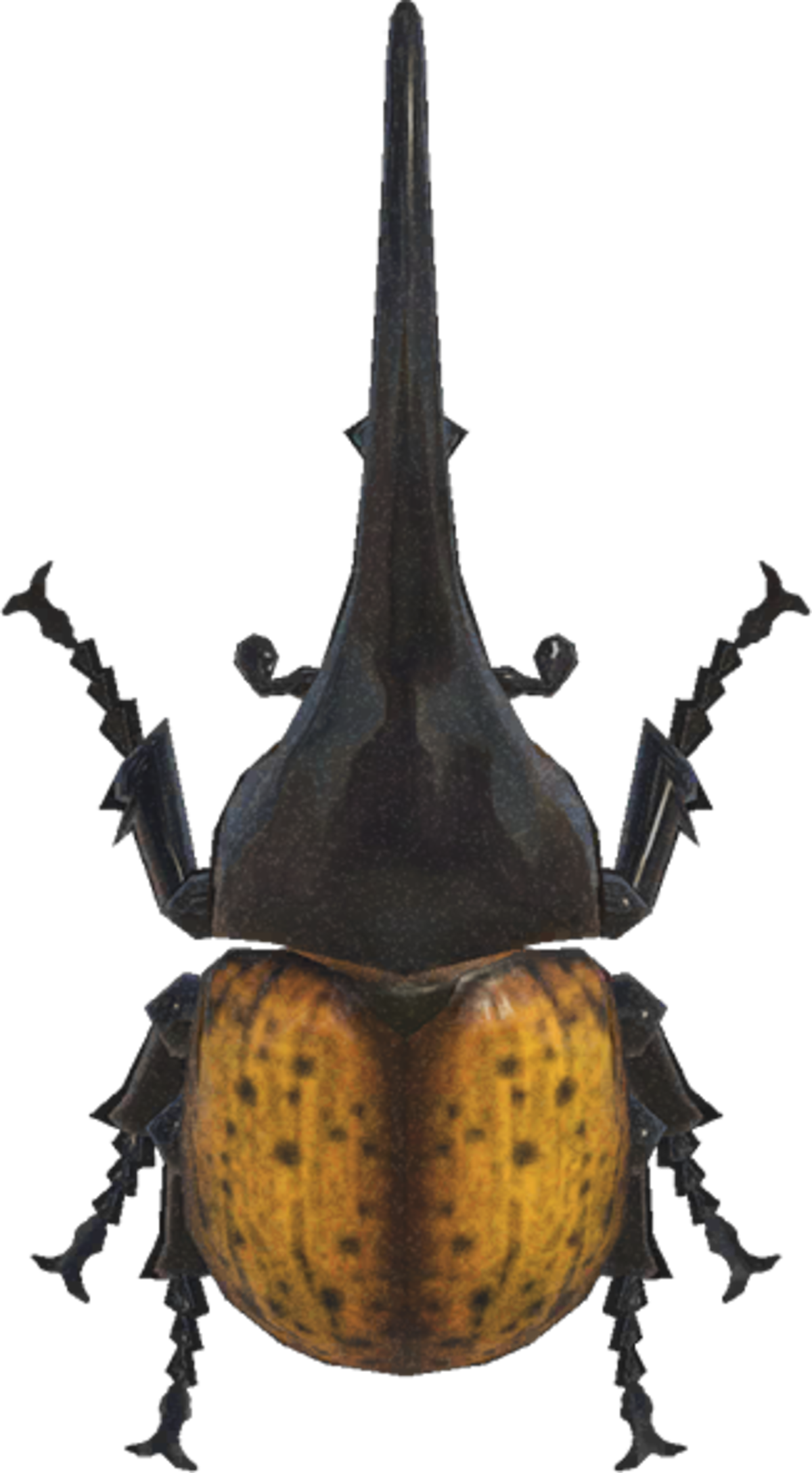 Hércules con cuernos