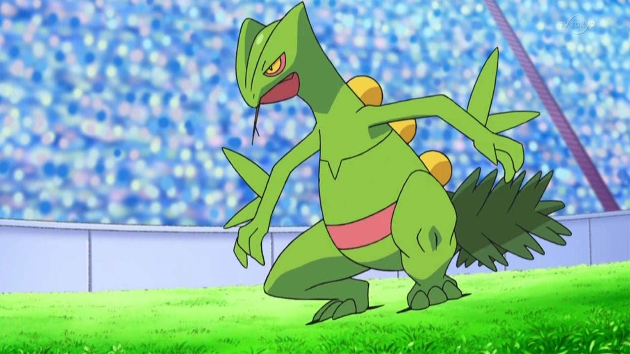 Sceptile ayudó a Ash a ganar muchos combates