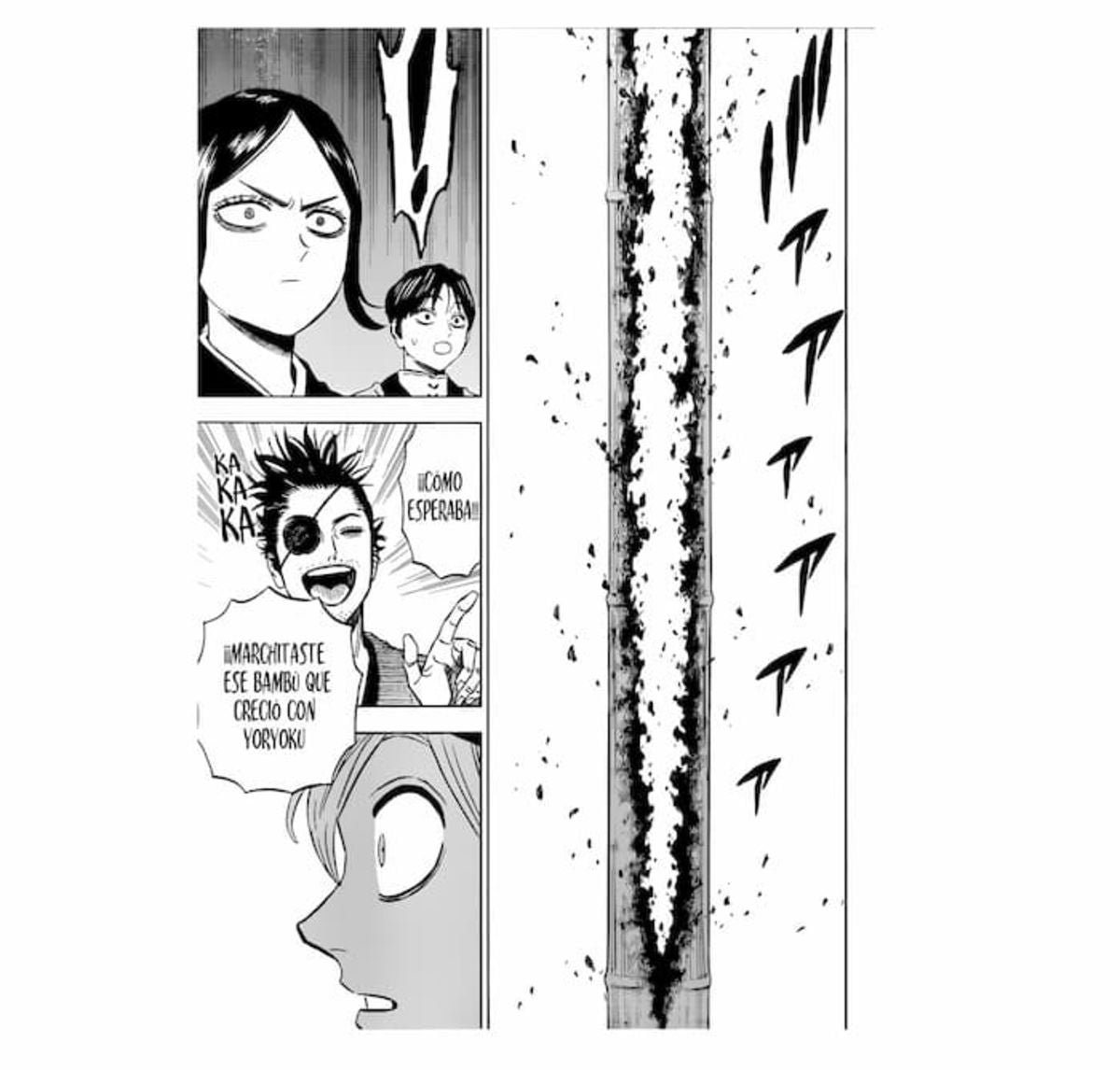 Asta ha obtenido este nuevo poder con el cuál ha superado a Yami y podría ser la clave para derrotar a Lucius