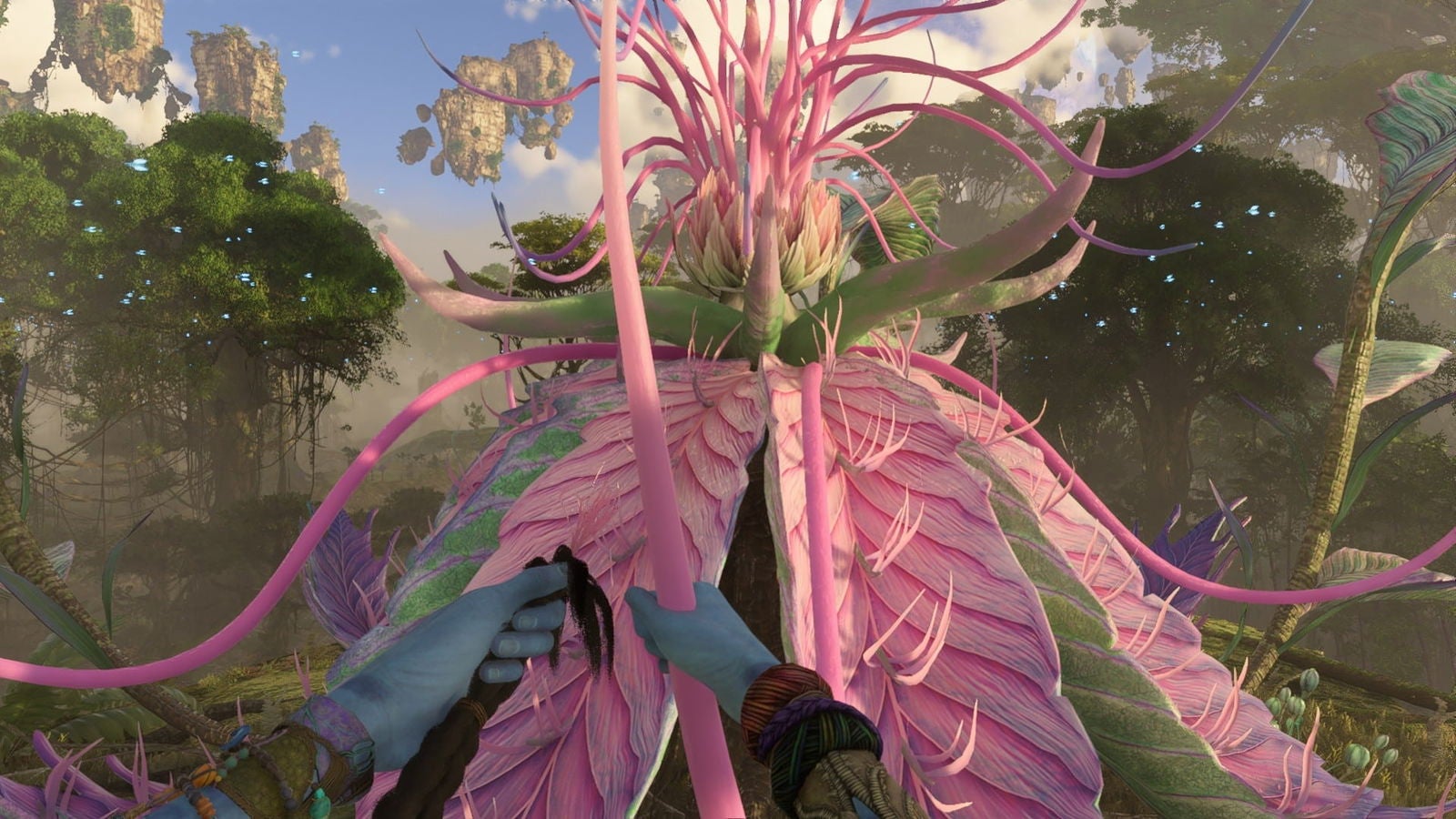 Esta planta otorga un punto de habilidad adicional al personaje