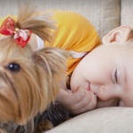 Un perro junto a un niño durmiendo en la cama Un perro junto a un niño durmiendo en la cama