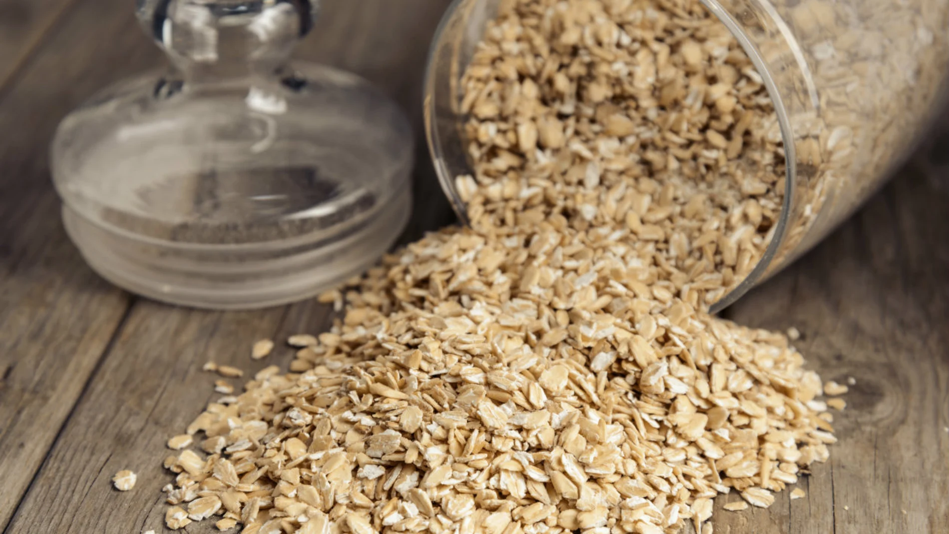 Avena