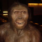 El nuevo estudio, dirigido por el profesor Alejandro Pérez Pérez de la Universidad de Barcelona, analiza el patrón de microestriación de la dentición en diferentes especies de primates ya extinguidos.
