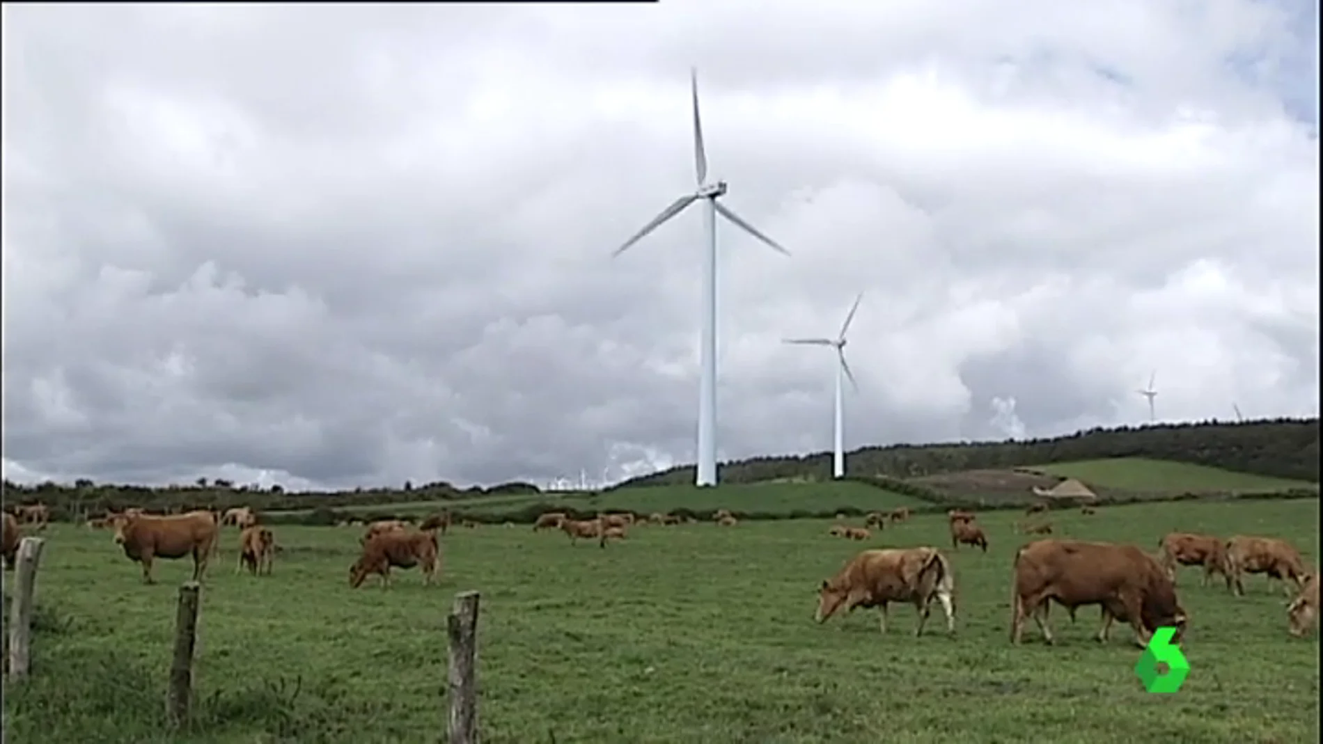 381 molinos de viento se han instalado en Muras