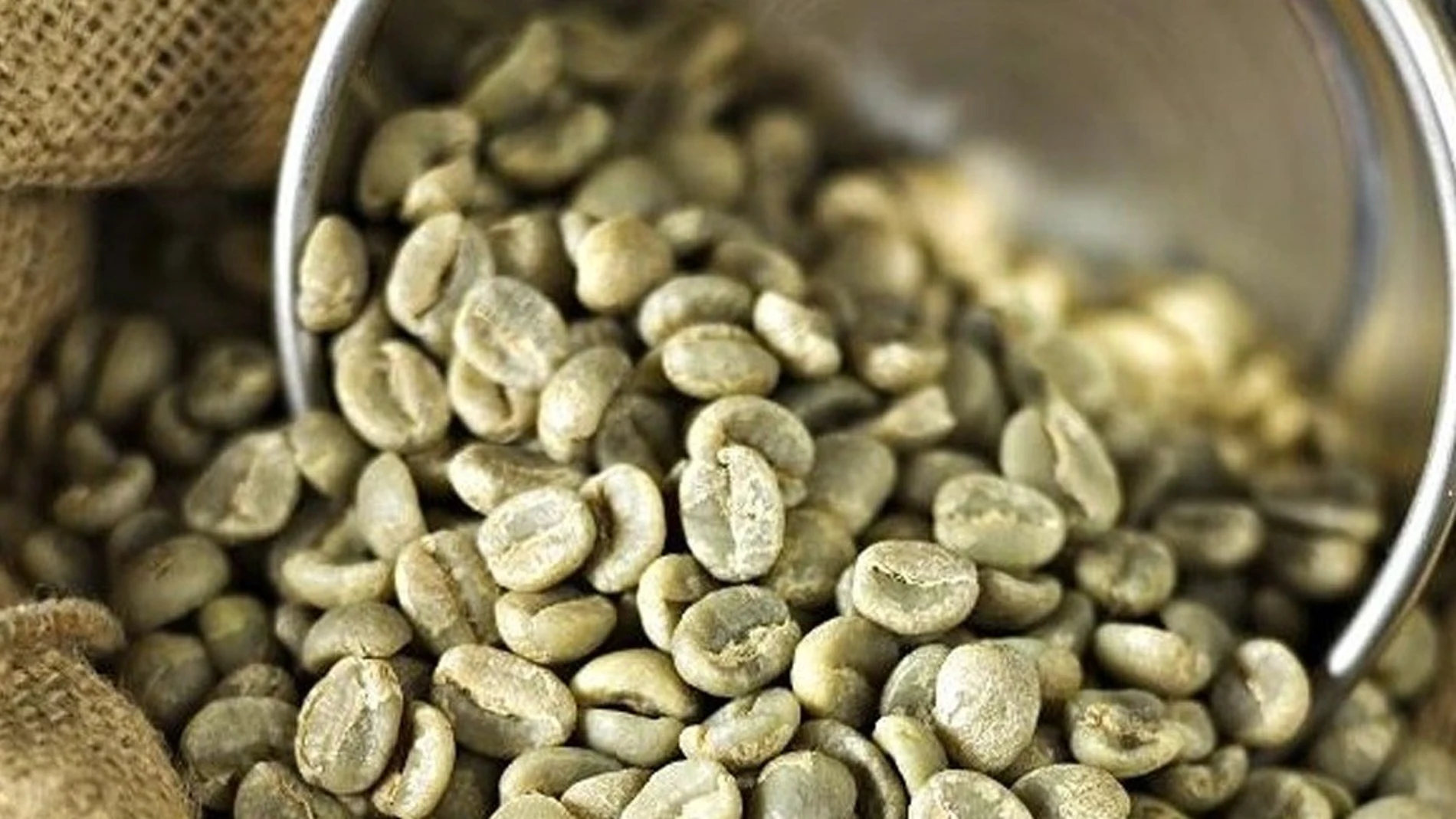 Café verde