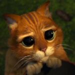 gatoshrekok.jpg