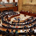 Vista general del pleno de la Asamblea de Madrid