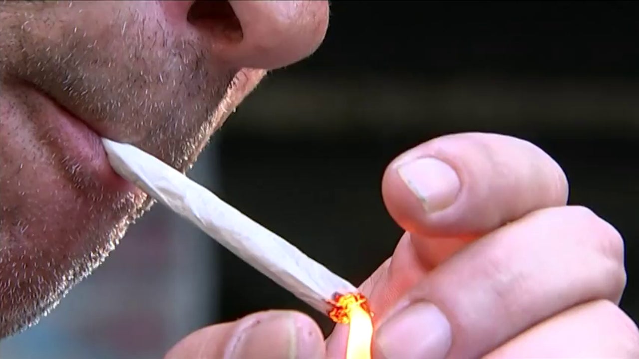 El cannabis es la droga que motiva el mayor número de inicio de tratamiento entre los jóvenes