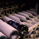 Los secretos de los vinos centenarios de las bodegas Marqués de Riscal