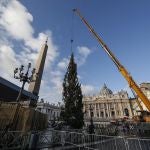 Árbol de Navidad en la Plaza de San Pedro del Vaticano
