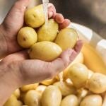 Lavar patatas