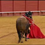 Morante seca las lagrimas a un toro