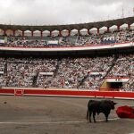 Bilbao ya conoce los protagonistas de sus paseíllos