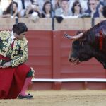 Morante de la Puebla abrirá la terna esta tarde en La Maestranza