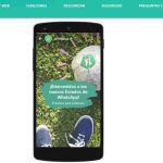 Los nuevos estados de Whatsapp