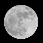 Una empresa japonesa quiere enviar robots a la Luna para explorar de nuevo su superficie