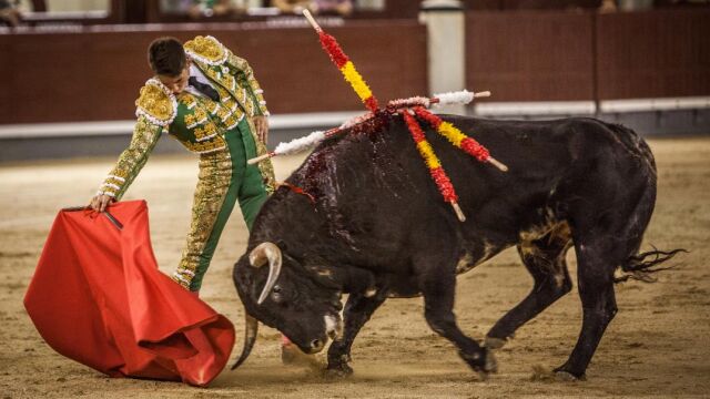 Pablo Mora ejecutando un derechazo en la final del certamen de novilladas nocturnas de Las Ventas / Plaza 1